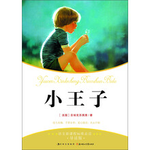 语文新课程标准必读：小王子（导图版）