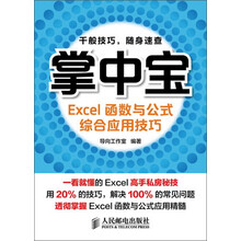 掌中宝：Excel函数与公式综合应用技巧