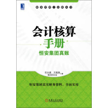 财务管理工具箱丛书:会计核算手册·恒安集团真账