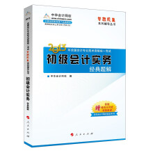 梦想成真系列辅导丛书·2013年全国会计专业技术资格统一考试：初级会计实务经典题解
