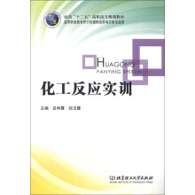 面向“十二五”高职高专规划教材·高等职业教育骨干校课程改革项目研究成果:化工反应实训