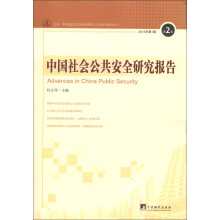 中国社会公共安全研究报告（2013年第1期·第2辑）