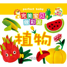 完美宝贝做彩泥·植物