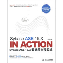 Sybase ASE 15.X In Action:Sybase ASE 15.X数据库全程实战