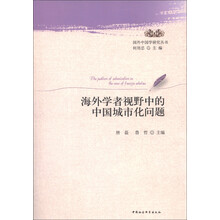 国外中国学研究丛书:海外学者视野中的中国城市化问题