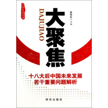 大国走向丛书·大聚焦:十八大后中国未来发展若干重要问题解析