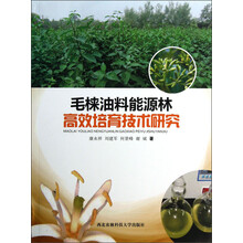 毛梾油料能源林高效培育技术研究