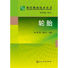 现代橡胶技术丛书：轮胎