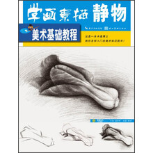 美术基础教程：学画素描静物