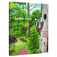 美丽散步:在林间