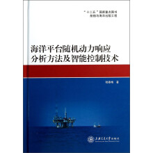 海洋平台随机动力响应分析方法及智能控制技术