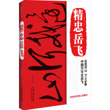 长篇历史小说：精忠岳飞