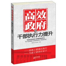 高效政府与干部执行力提升