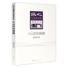 冰心儿童图书奖获奖作品：小山村的眼睛