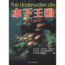 水下王国（送给孩子最酷的读物）