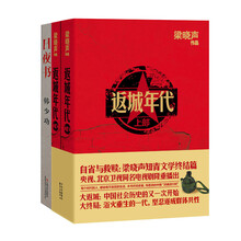 知青文学怀旧系列（套装共3册） 《返城年代（套装共2册）》 《日夜书》