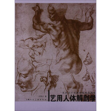 艺用人体解剖学:艺术设计名家特色精品课程