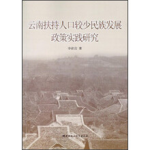 云南扶持人口较少民族发展政策实践研究