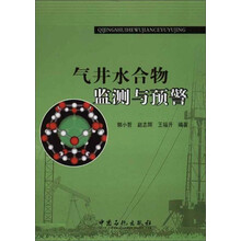 气井水合物监测与预警
