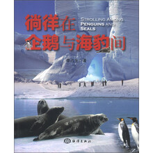 徜徉在企鹅与海豹间