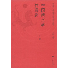 中国新文学作品选(下册)