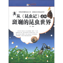 从《昆虫记》走向斑斓的昆虫世界