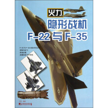 隐形战机：F-22与F-35