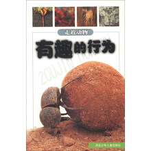 有趣的行为/走近动物