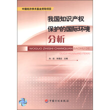我国知识产权保护的国际环境分析