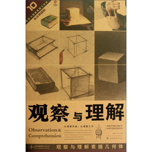 造型基础训练方法丛书:观察与理解素描几何体(黄金典藏版)