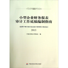 小型企业财务报表审计工作底稿编制指南2013