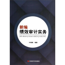 新编绩效审计实务