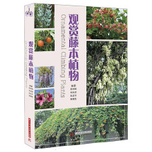 观赏藤本植物