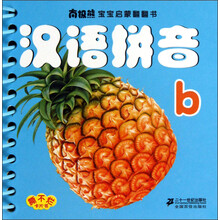 南极熊宝宝启蒙翻翻书：汉语拼音