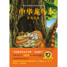 中华龙鸟家族传奇