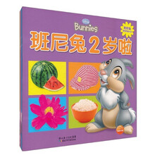 迪士尼班尼兔宝宝早教大书（套装全4册）