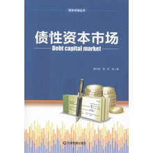 债性资本市场资本市场丛书