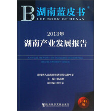 2013年湖南产业发展报告-湖南蓝皮书-2013版