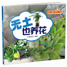 无土也养花