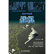 战空中的鹰：战机