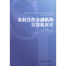 农村合作金融机构计算机审计