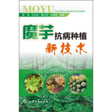 魔芋抗病种植新技术