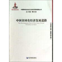 中国特色社会主义经济发展道路丛书：中国非国有经济发展道路