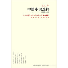 2012年中篇小说选粹