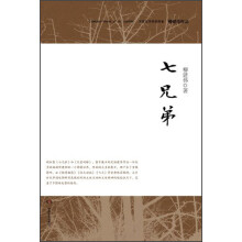 柳建伟作品:七兄弟(典藏版)