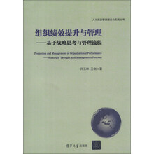 人力资源管理理论与实践丛书·组织绩效提升与管理：基于战略思考与管理流程