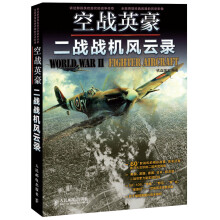 空战英豪：二战战机风云录