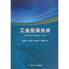 工业型煤技术