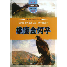 动物小说大王沈石溪·精华爱读本：雄鹰金闪子