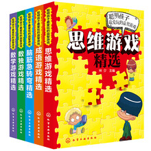 聪明孩子最爱玩的益智游戏精选（套装共5册）
